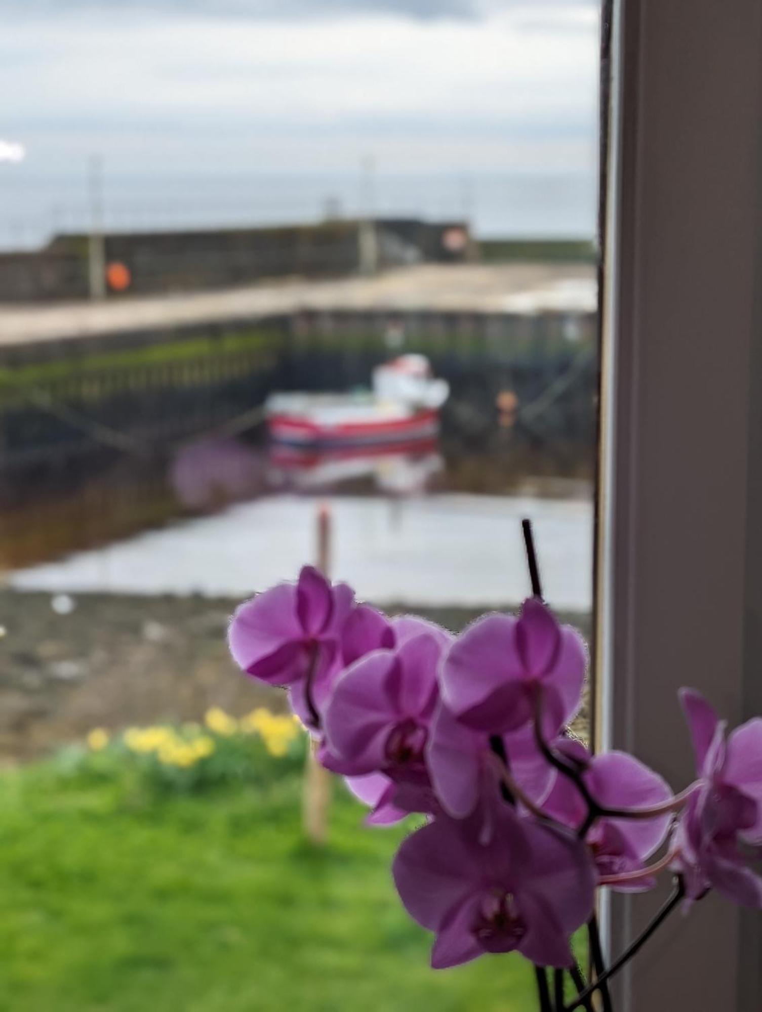 Sea Song, Selkie House Bed and Breakfast Helmsdale Buitenkant foto