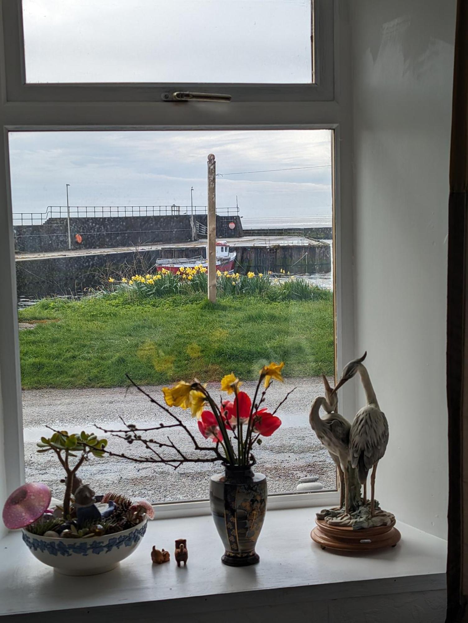 Sea Song, Selkie House Bed and Breakfast Helmsdale Buitenkant foto