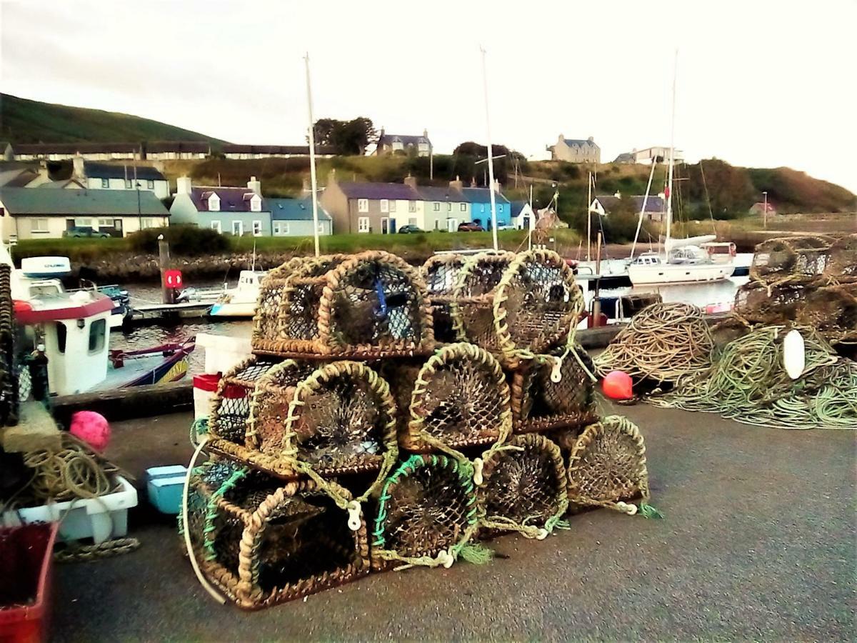 Sea Song, Selkie House Bed and Breakfast Helmsdale Buitenkant foto