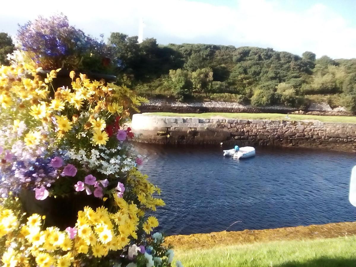 Sea Song, Selkie House Bed and Breakfast Helmsdale Buitenkant foto